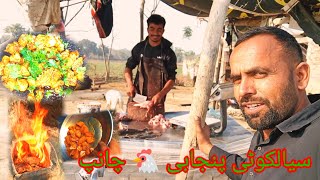 Sialkoti Punjabi Chekan chanp  Tanveer Rasheed [upl. by Hgalehs]