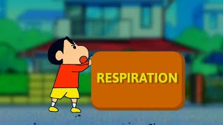 02 LIFE PROCESSES  RESPIRATION CLASS 10  INOS STUDY [upl. by Assened759]