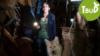 Vampire Folge 26  Tiere bis unters Dach  SWR Plus [upl. by Nelav125]