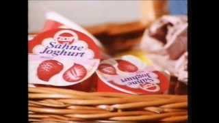 Zott Sahne Joghurt Voll gepackt mit tollen Sachen Werbung Werbespot aus dem Jahre 1995 [upl. by Nnyleuqaj345]