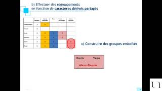 Construction de cladogrammes technique des boîtes emboîtées [upl. by Ayiram]