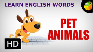 Pet Animals  Pre School  Learn English Words Spelling Video For Kids and Toddlers [upl. by Ocirred]