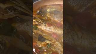 Mangrove Snapper Catch amp Cook [upl. by Irehj]