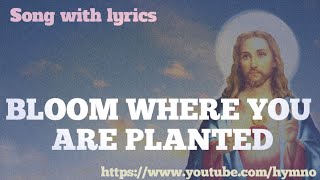 BLOOM WHERE YOU ARE PLANTED  HYMN OCEANCOVER SONGDEVOTIONALPRAYER SONG WITH LYRICS [upl. by Nilkoorb]