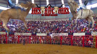 ¡¡21 DESTRUCTORES DE MEMO OCAMPO JARIPEO EN EL RELICARIO DE MORELIA MICHOACAN SEPTIEMBRE 2016 [upl. by Aernda28]