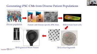 Stem Cells amp Genomics From Precision Medicine to Clinical Trial in a Dish [upl. by Honniball]