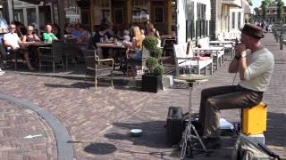 Herbie Blues op de Markt in Blokzijl [upl. by Akinom]