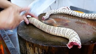 Chinese Street Food  GIANT SNAKE SOUP Guangdong China [upl. by Eelinej]