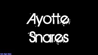 Ayotte Snare Drums [upl. by Delastre]