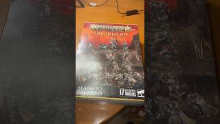 Age of Sigmar  Slaves to Darknessshorts ageofsigmar warhammer [upl. by Leor194]