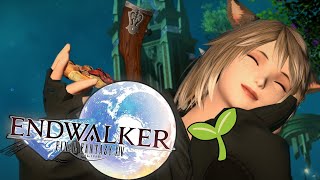 🌱 so close to the end of walking  Endwalker MSQ leveling chilling [upl. by Hwu]