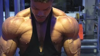 DELTOID Workout for BIG FULL Shoulders  Wes amp Wes [upl. by Einnad819]