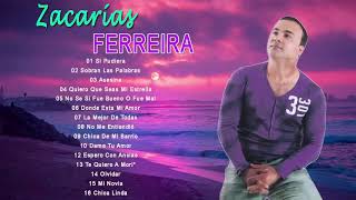 Zacarías Ferreira Sus Mejores Éxitos  Zacarías Ferreira Mix De Bachata De Sentimiento Y Amargue [upl. by Ahsita276]