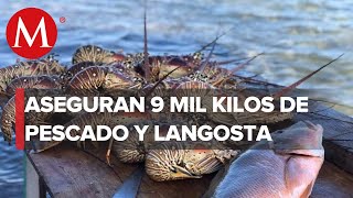 Retienen pescado y langosta en el estado de Yucatán por dudosa procedencia [upl. by Nyrb]