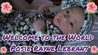 Welcome to the World Posie Rayne Labrant [upl. by Eecram411]