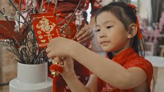 How Do You Celebrate Chinese New Year  Holiday Traditions [upl. by Uticas]