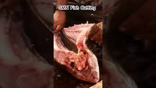 Reef Cod Fish Cutting Masterclass 🔪 fishvideo shortvideo reefcod fishingvideo [upl. by Brit]