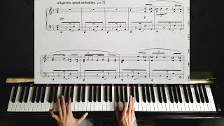 Habanera from quotCarmenquot by Bizet  Piano Tutorial [upl. by Akeit554]