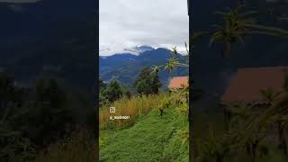 Borong village of Sikkim state has a very nice and nature view👍🏻❣️🇮🇳 likesharecommentstravel [upl. by Shull477]