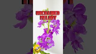 Unchained Melody The Righteous Brothers l SingAlong Karaoke Cover youtubeshorts viralshorts [upl. by Baumann]