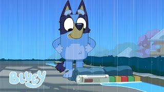 Episodios de Wholesome Bluey  Bluey Español Canal Oficial [upl. by Stacy519]