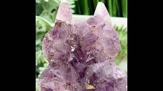 Amethyst with Cacoxenite Kitty Cat Cluster Healing Animal Crystal Carving 522g [upl. by Enalahs]