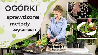 Ogórki sprawdzone metody wysiewu Odmiany ogórków które wybrałam O czym należy pamiętać [upl. by Dewain]