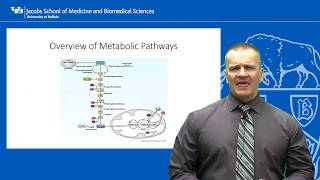 Metabolic Myopathies Segment 02 Glycogen Storage Diseases [upl. by Saul]