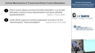 Cellular Mechanisms of Transcranial Direct Current Stimulation tDCS [upl. by Ballou]