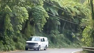 del Bo Salto Arriba a el Sector Puente Blanco de Utuado [upl. by Zitah89]