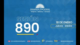 Sesión 890 del Pleno de la Asamblea Nacional [upl. by Kcajyllib]