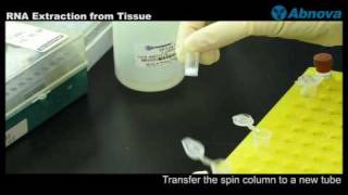 RNA Extraction from Tissue [upl. by Kendra]