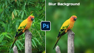 How to blur background  Photoshop For Beginners 2024 [upl. by Harpp]