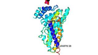 Epsin AP180 N terminal homology domain for PIP2 binding with sound [upl. by Ahsiuqet802]