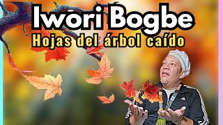 Iwori Bogbe  estos CONSEJOS te AYUDARÁ a VIVIRLO Iwori Ogbe [upl. by Teirrah212]