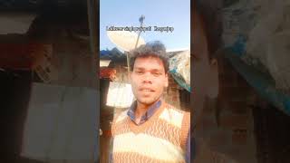 Lakhveer singh bholenathbhaktibhajan comedy news bholeshankarbhajan Mithun Chakraborty song [upl. by Vigen]