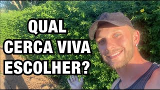 10 OPÇÕES de CERCA VIVA para fazer seu MURO VERDE com PLANTAS  Henrique Buttler [upl. by Dhu860]