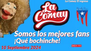 La Comay somos fans lacomay comay lacomaytv quebochinche teleonce [upl. by Aleehs]