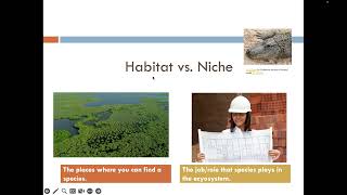 Intro to Ecology Lecture Video [upl. by Elleinet]