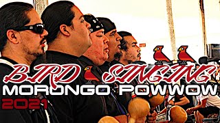 Bird 🐦Singing  Morongo CA Powwow 2021 [upl. by Mignon884]