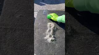 Dog hair removal from a car interior Mobile Car Valeting Kinsale [upl. by Erimahs]