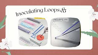 Serological Pipette amp Inoculating Loop [upl. by Tallulah]