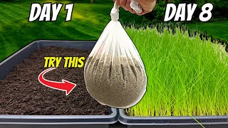 The FASTEST Way to Grow Grass Seed Pregermination Secrets REVEALED [upl. by Natam535]