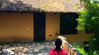 Premium Villa  Taj Madikeri Resort amp Spa Coorg [upl. by Enilaf]