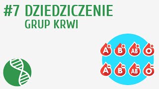 Dziedziczenie grup krwi 7  Genetyka [upl. by Sissie722]