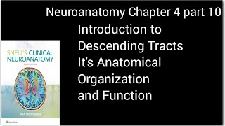 Neuronantomy Chapter 4introduction to Descending TractsAnatomical Organization and FunctionMbbs [upl. by Alitta42]