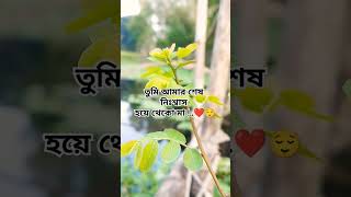 তুমি আমার শেষ নিঃশ্বাস হয়ে থেকো মা ।ma baba bangladesh shorts viralvideo [upl. by Tana]