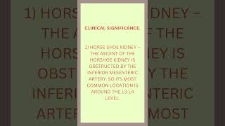 INFERIOR MESENTERIC ARTERY ANATOMY shorts [upl. by Faxon]