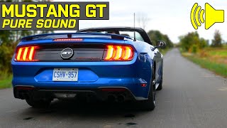 AMAZING SOUND  Ford Mustang GT Premium w Active Exhaust  Pure Sound [upl. by Anana]