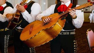 Beautiful Mexican Music  Mexican Wedding [upl. by Ettenan360]